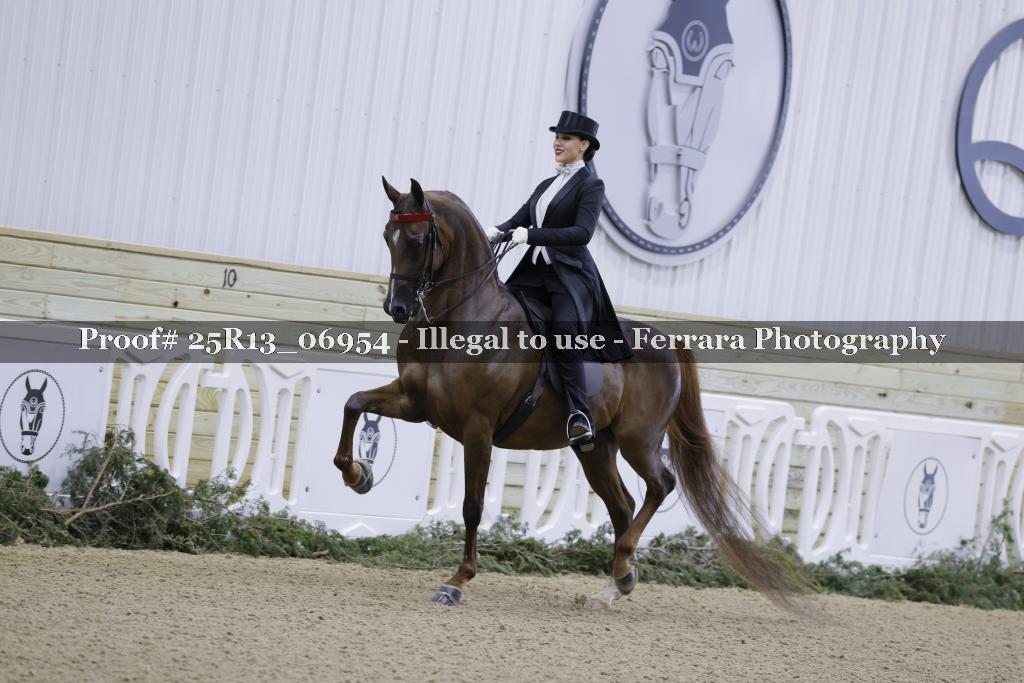 Proof Number 25R13_06954