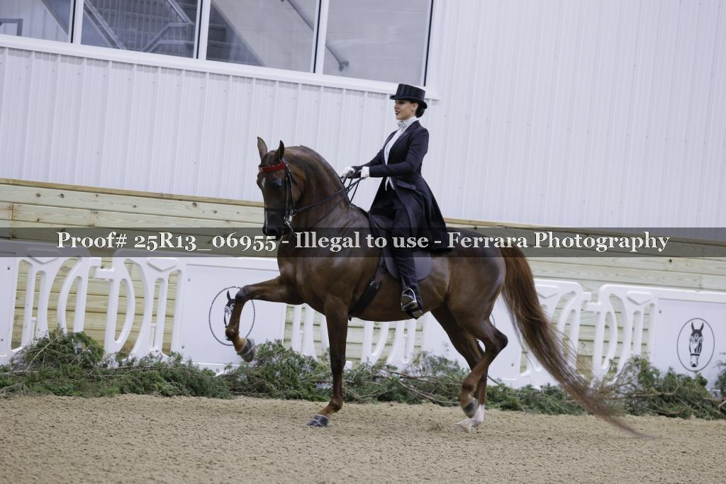Proof Number 25R13_06955