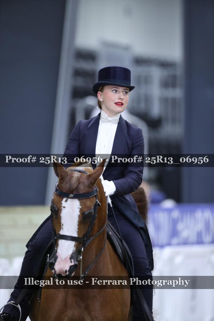 Proof Number 25R13_06956