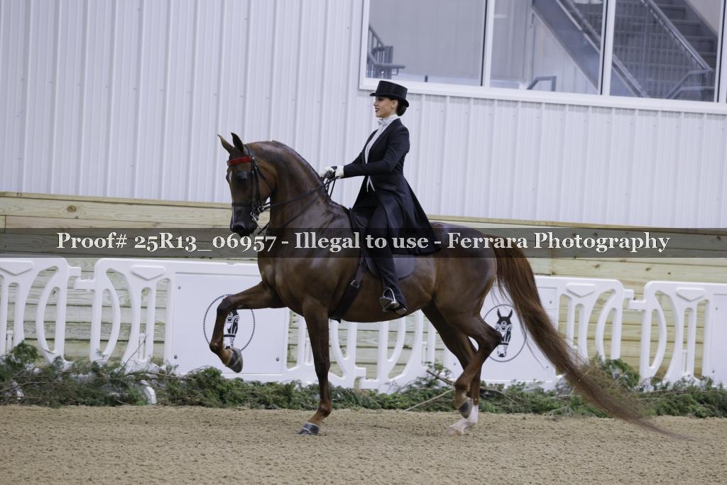 Proof Number 25R13_06957