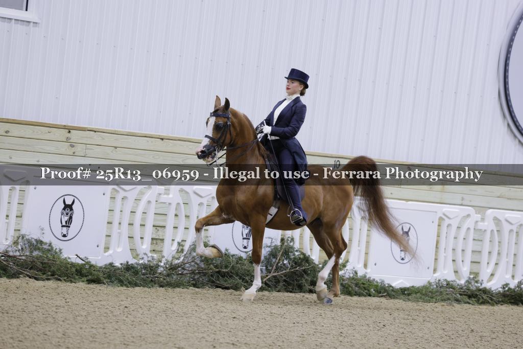 Proof Number 25R13_06959