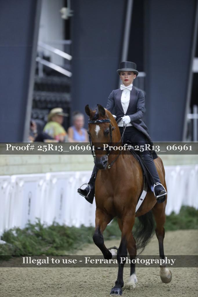 Proof Number 25R13_06961
