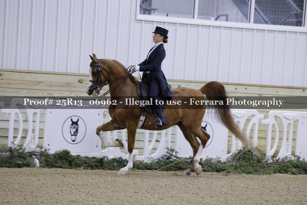 Proof Number 25R13_06962