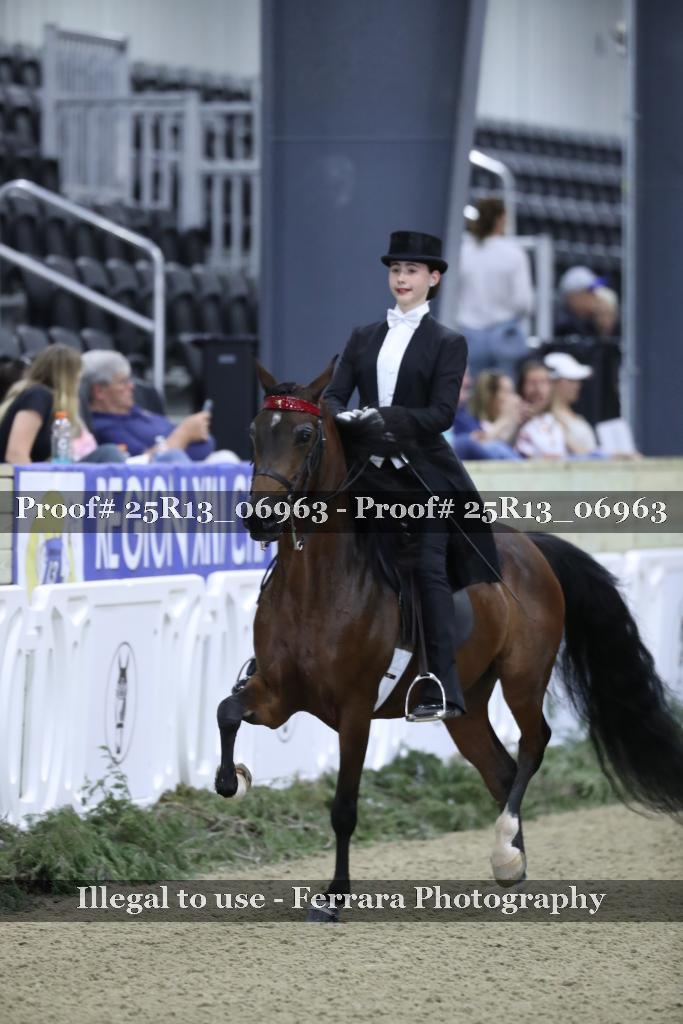 Proof Number 25R13_06963