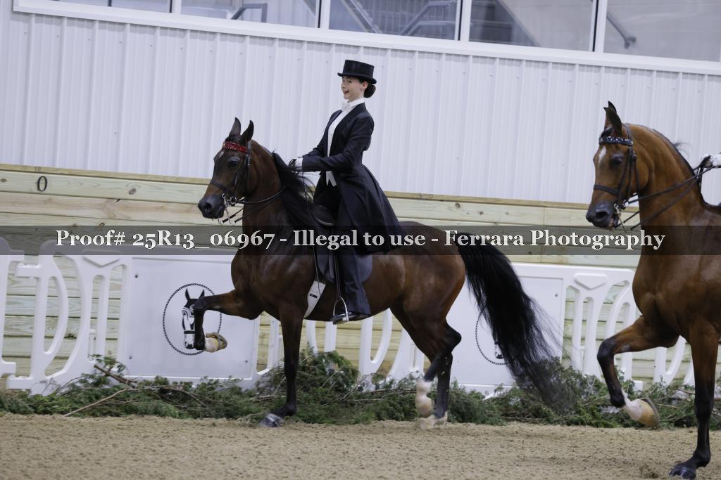 Proof Number 25R13_06967