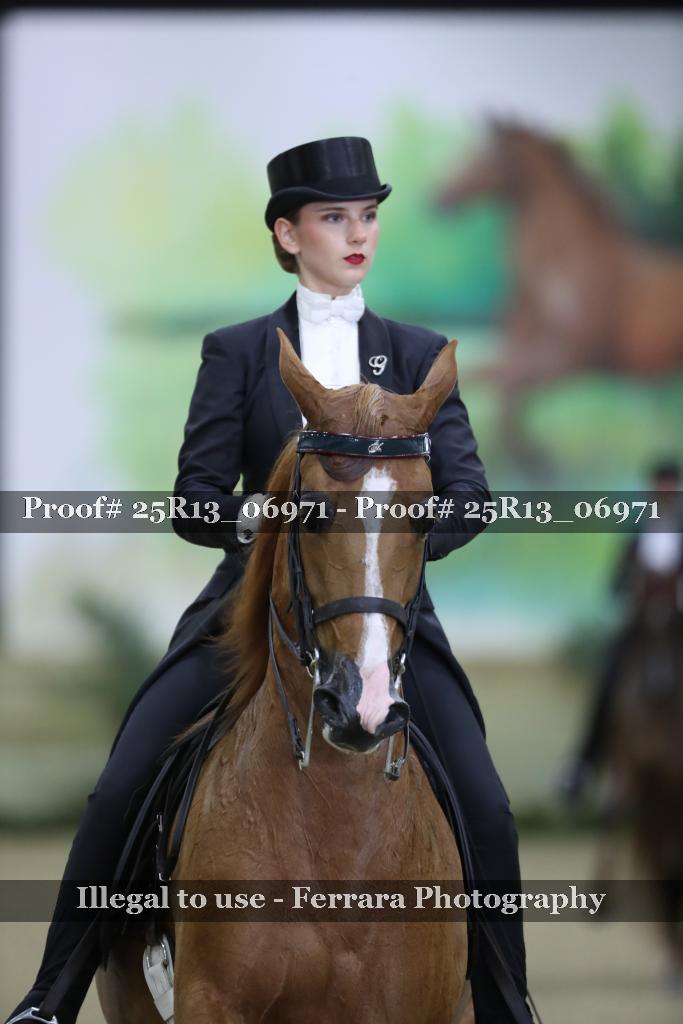 Proof Number 25R13_06971