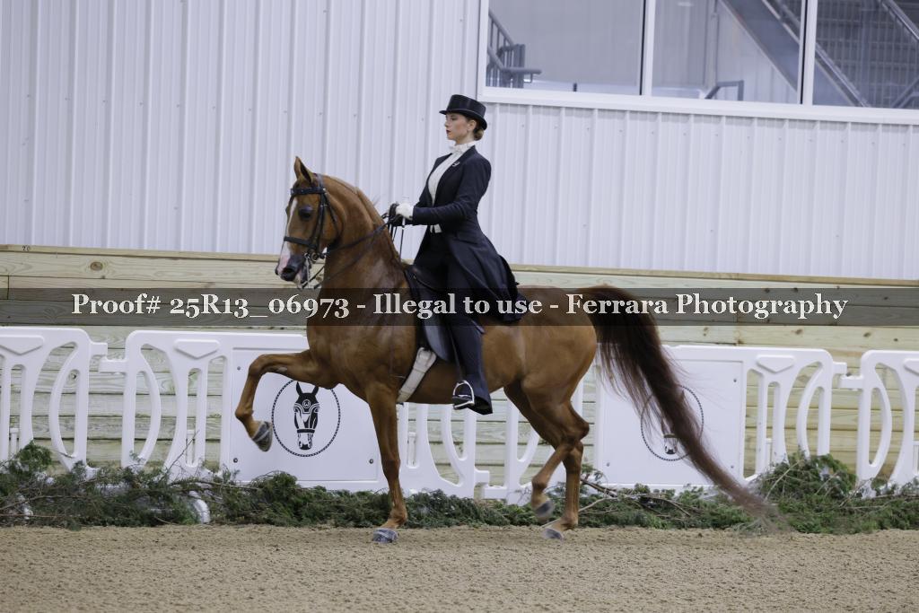 Proof Number 25R13_06973