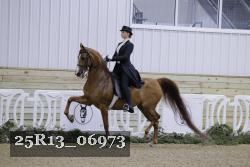 25R13_06973 thumbnail