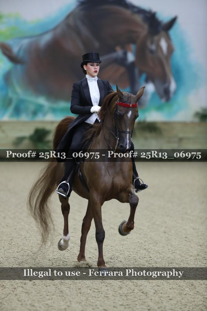 Proof Number 25R13_06975