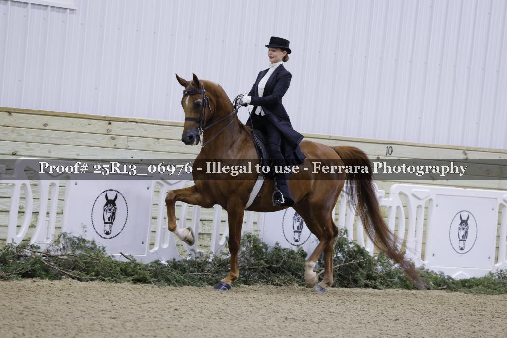 Proof Number 25R13_06976