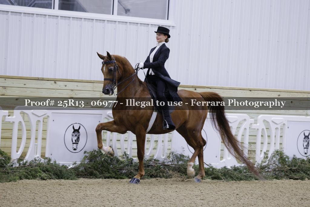 Proof Number 25R13_06977