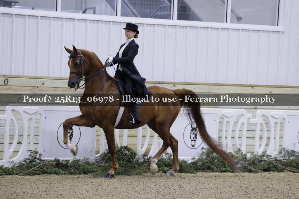 Proof Number 25R13_06978