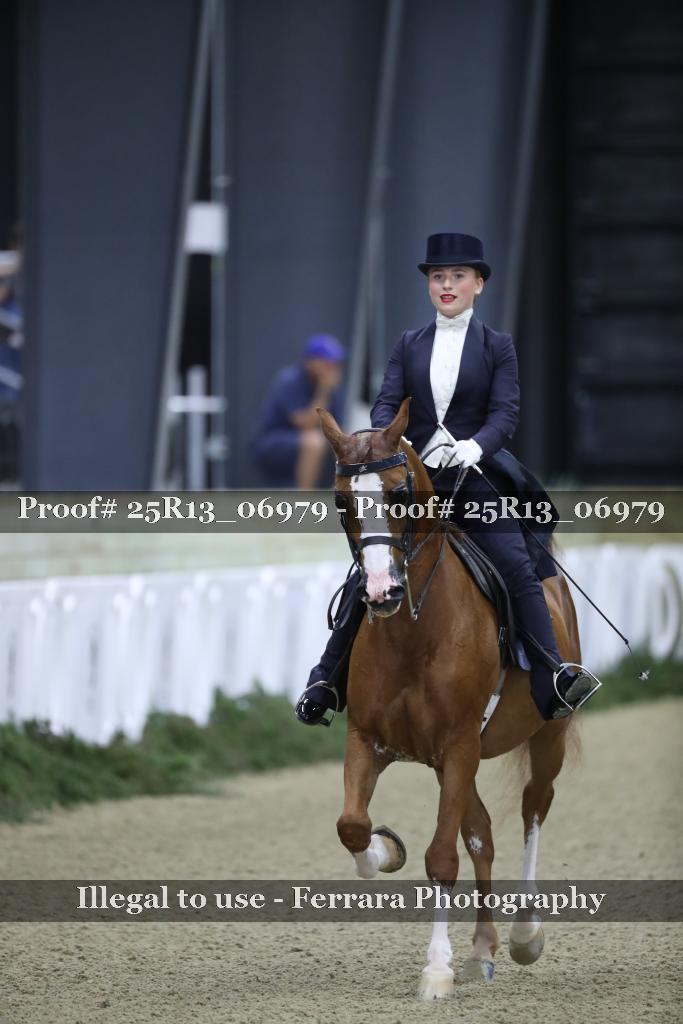 Proof Number 25R13_06979