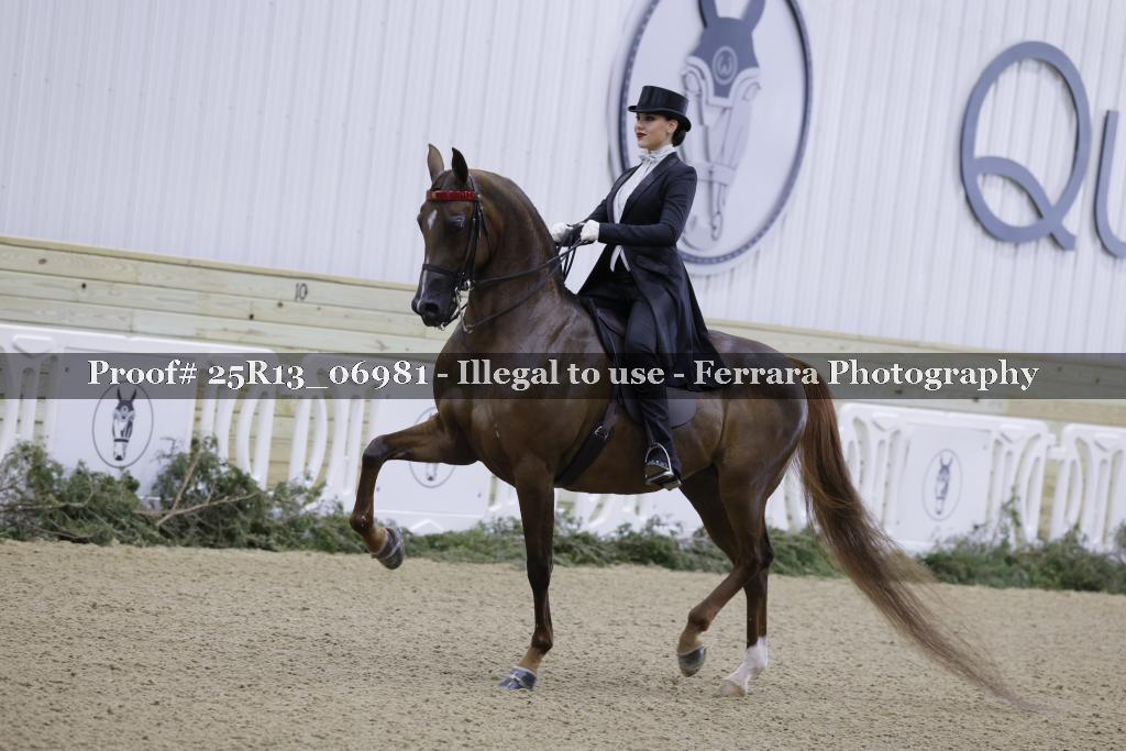 Proof Number 25R13_06981