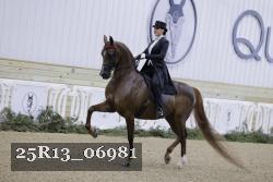 25R13_06981 thumbnail