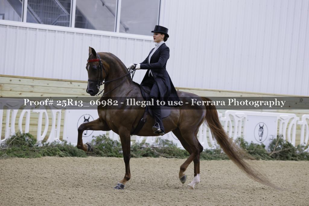 Proof Number 25R13_06982