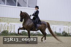 25R13_06982 thumbnail