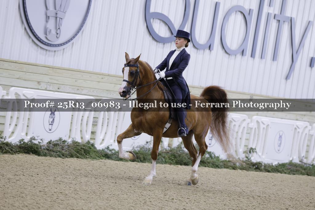 Proof Number 25R13_06983