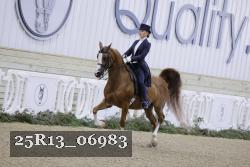25R13_06983 thumbnail