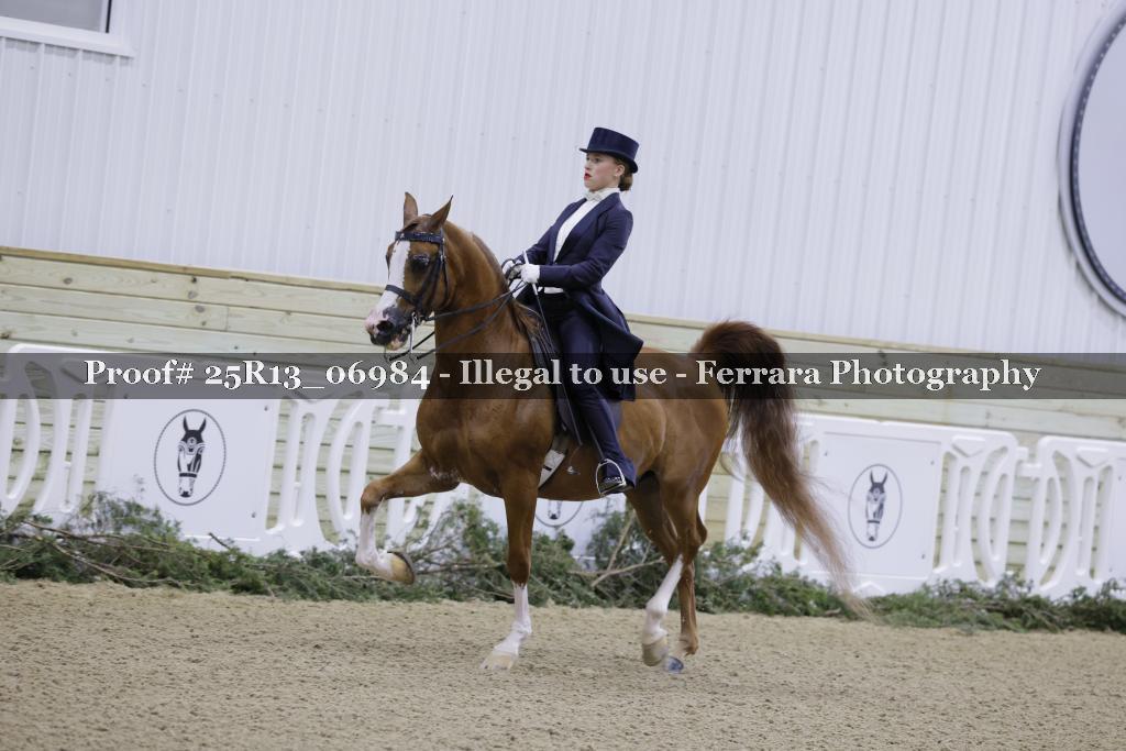 Proof Number 25R13_06984