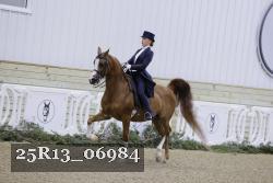 25R13_06984 thumbnail