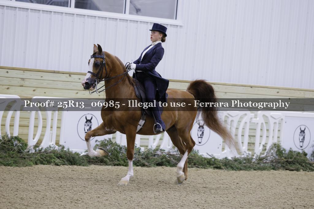 Proof Number 25R13_06985