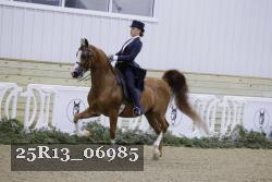 25R13_06985 thumbnail