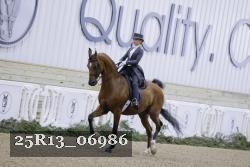 25R13_06986 thumbnail