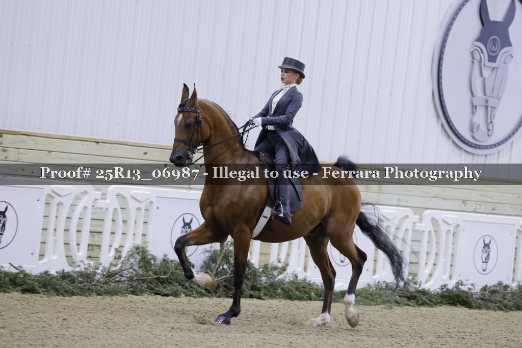 Proof Number 25R13_06987