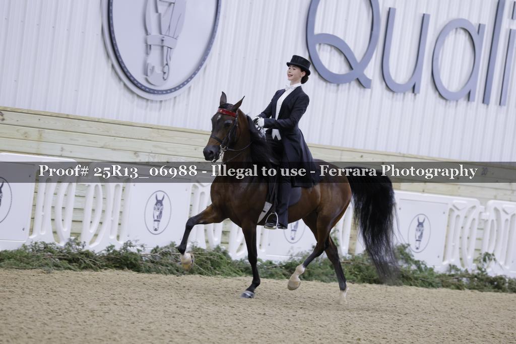 Proof Number 25R13_06988