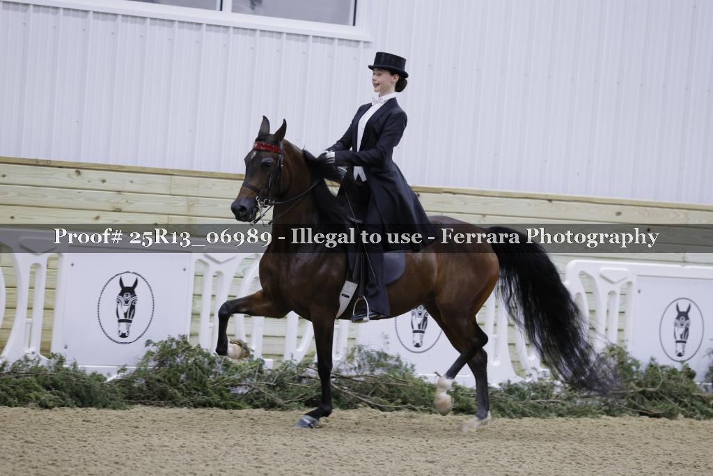 Proof Number 25R13_06989