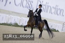 25R13_06990 thumbnail