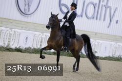 25R13_06991 thumbnail