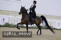 25R13_06992 thumbnail