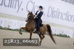 25R13_06993 thumbnail