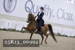 25R13_06994 thumbnail