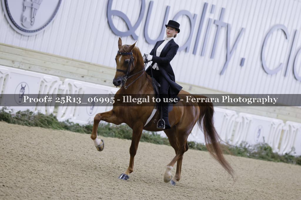 Proof Number 25R13_06995