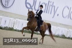 25R13_06995 thumbnail