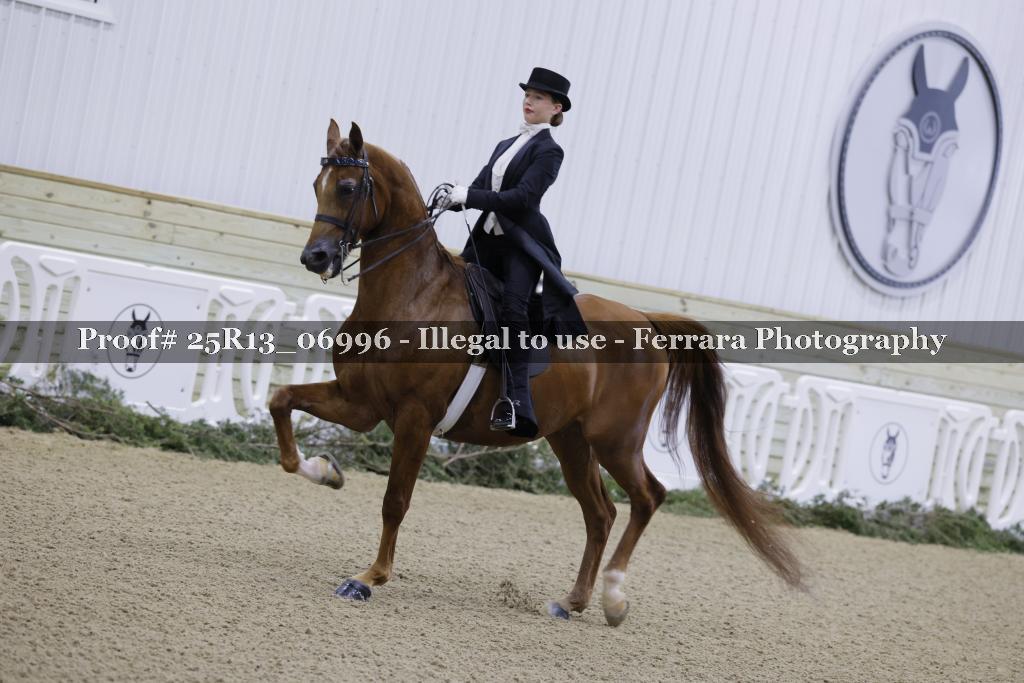 Proof Number 25R13_06996