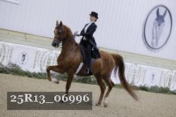 25R13_06996 thumbnail