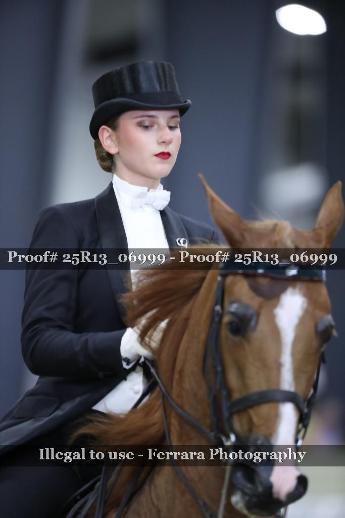 Proof Number 25R13_06999