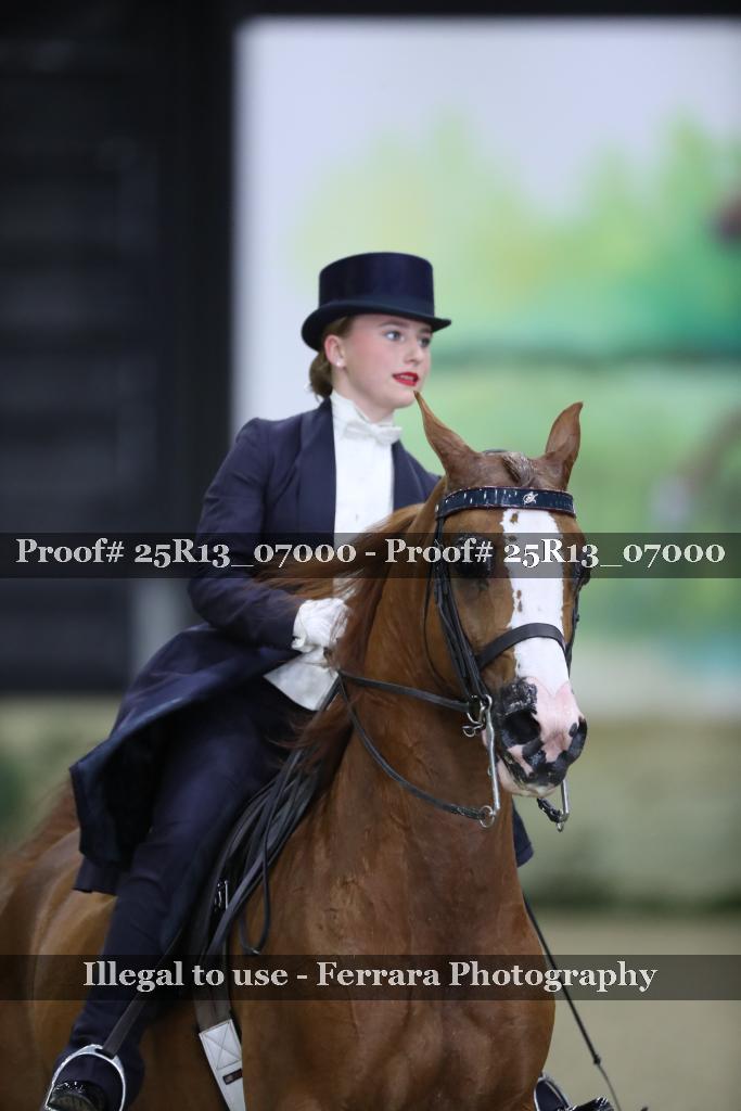Proof Number 25R13_07000