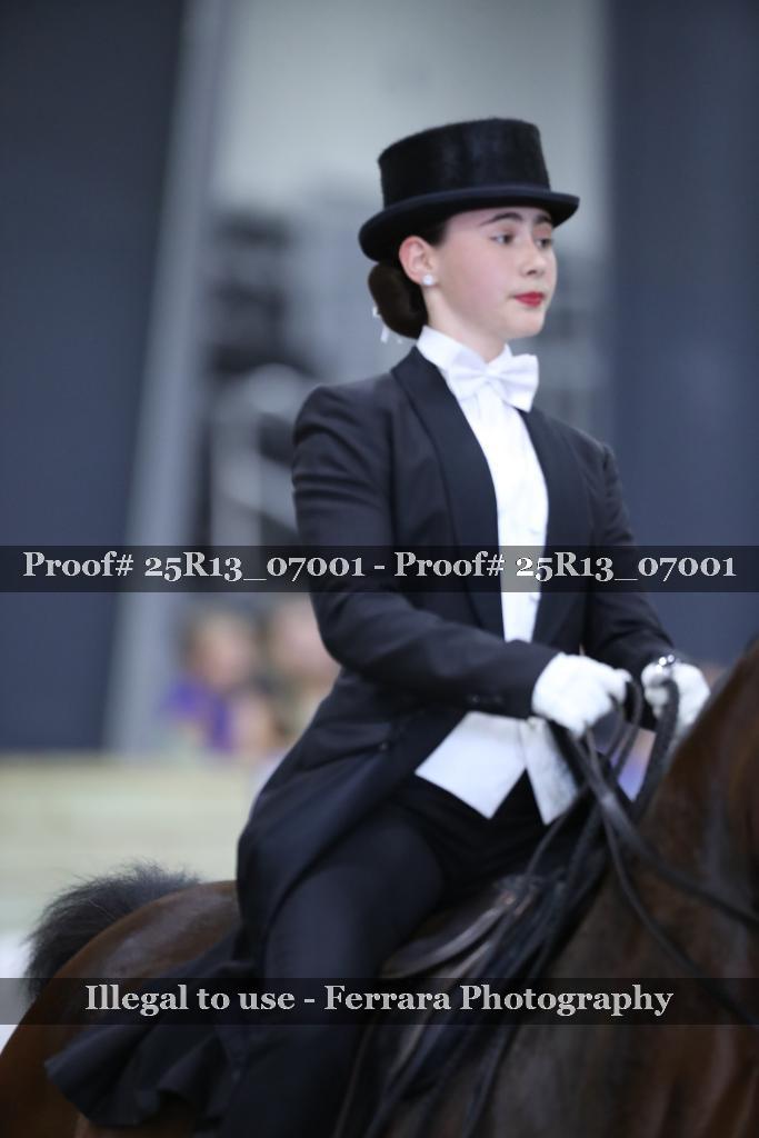 Proof Number 25R13_07001