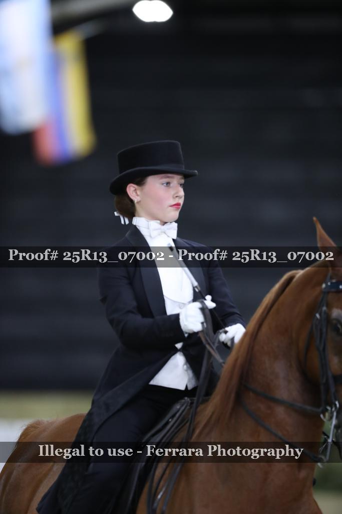 Proof Number 25R13_07002