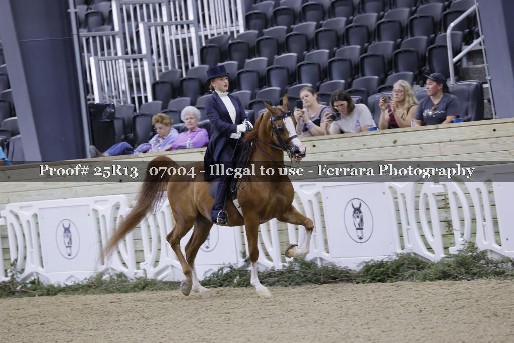 Proof Number 25R13_07004