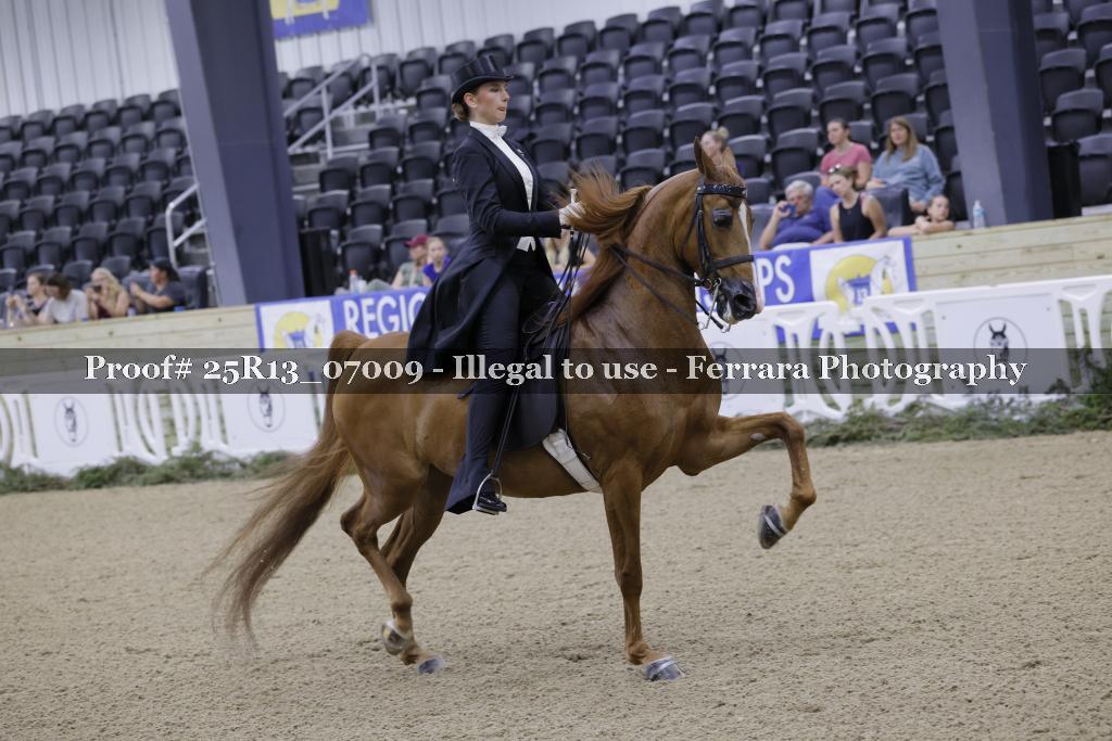 Proof Number 25R13_07009
