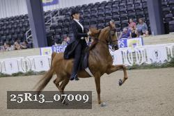 25R13_07009 thumbnail