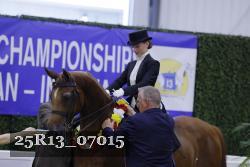 25R13_07015 thumbnail