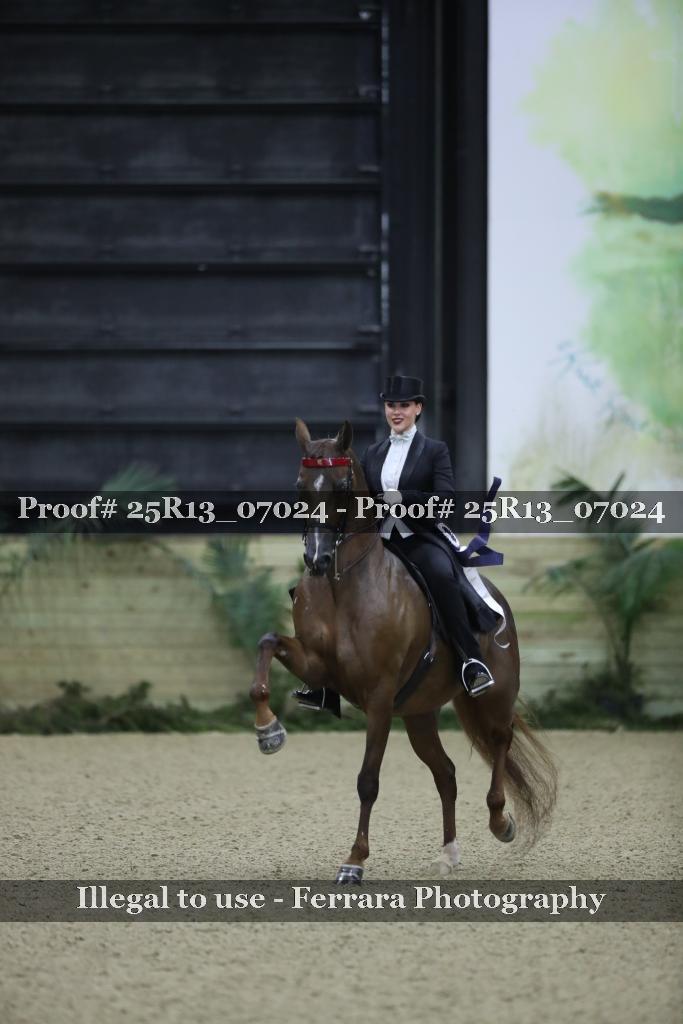 Proof Number 25R13_07024