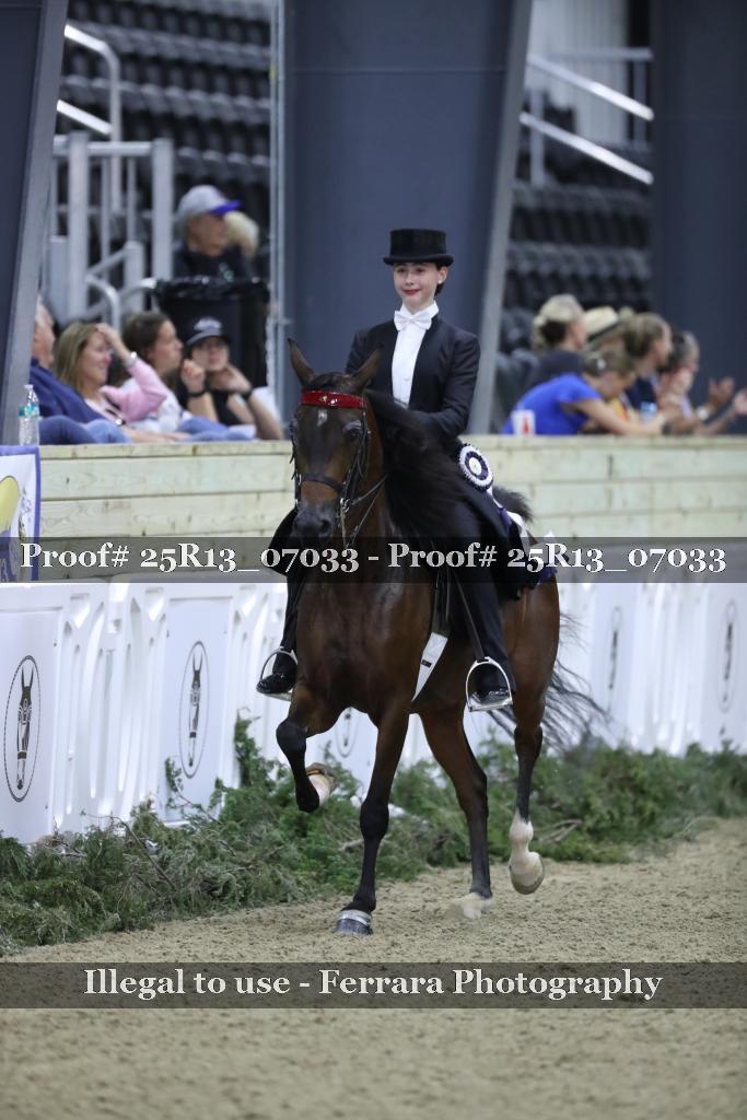 Proof Number 25R13_07033